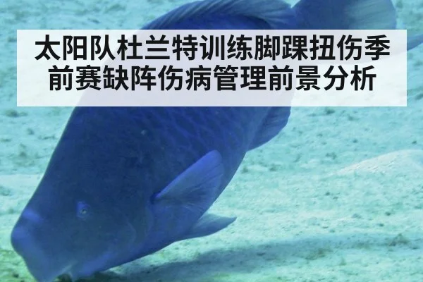 太阳队杜兰特训练脚踝扭伤季前赛缺阵伤病管理前景分析
