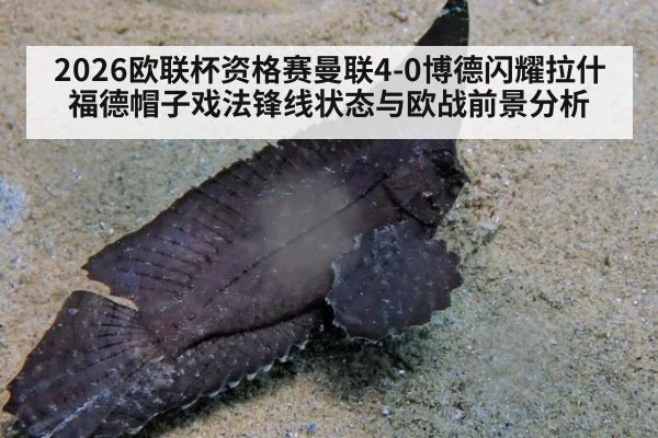 2026欧联杯资格赛曼联4-0博德闪耀拉什福德帽子戏法锋线状态与欧战前景分析