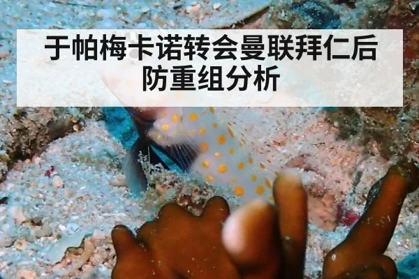 于帕梅卡诺转会曼联拜仁后防重组分析